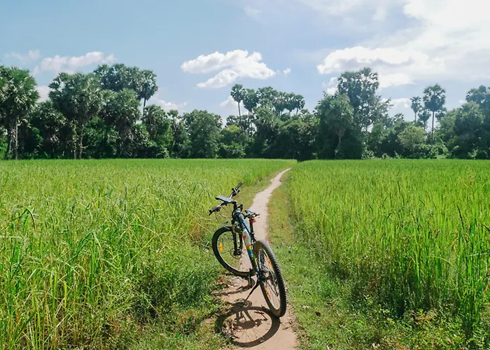 Tropical Breeze Siem Reap